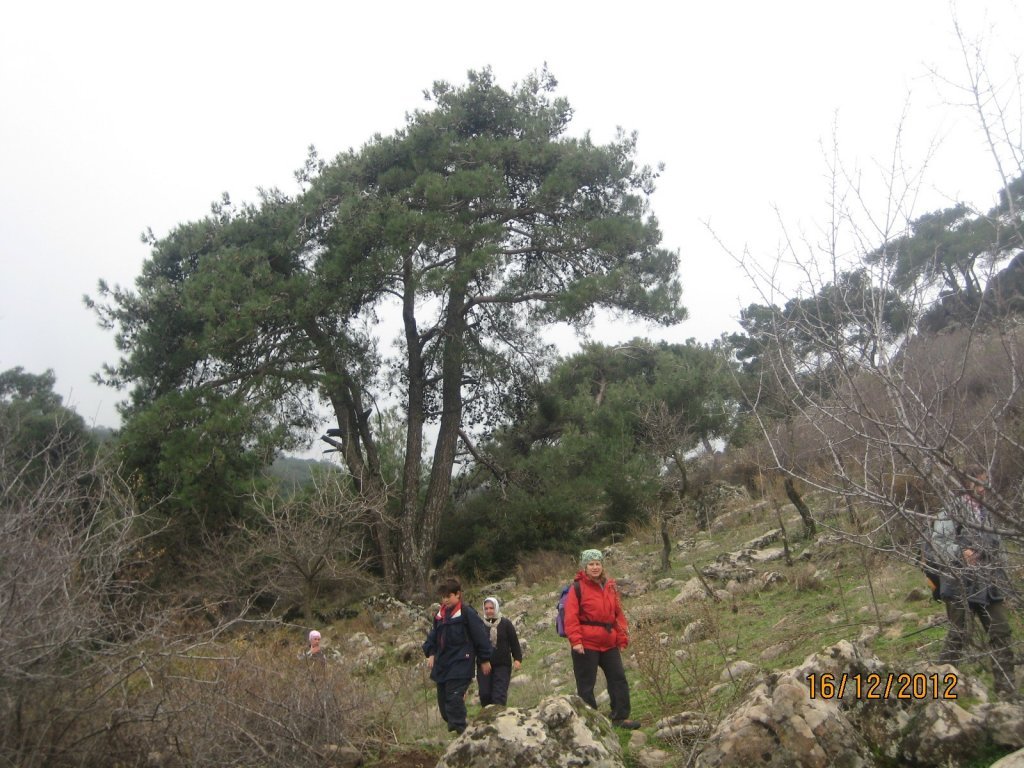 Gezenbilir ÃƒÂƒÃ‚Â„ÃƒÂ‚Ã‚Â°zmir; Yamanlar Zirve'de 16 AralÃƒÂƒÃ‚Â„ÃƒÂ‚Ã‚Â±k 2012  00100.jpg