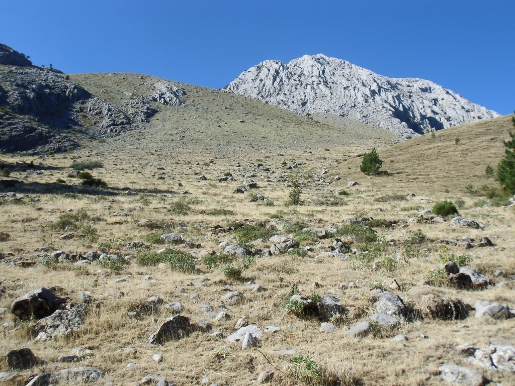 Gezenbilir Isparta Dedegl Dalarnda 03 06 A