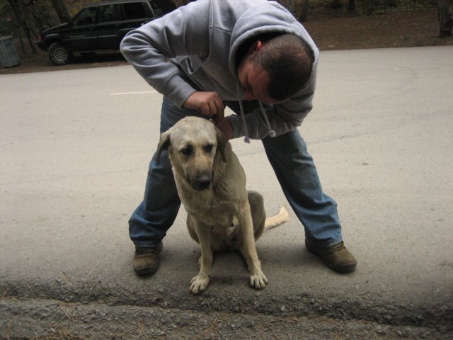 Gezenbilir KÃƒÂƒÃ‚Â„ÃƒÂ‚Ã‚Â±zÃƒÂƒÃ‚Â„ÃƒÂ‚Ã‚Â±lcahamam 29 KasÃƒÂƒÃ‚Â„ÃƒÂ‚Ã‚Â±m 2009 397.jpg