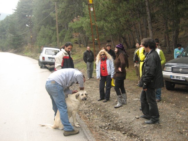 Gezenbilir KÃƒÂƒÃ‚Â„ÃƒÂ‚Ã‚Â±zÃƒÂƒÃ‚Â„ÃƒÂ‚Ã‚Â±lcahamam 29 KasÃƒÂƒÃ‚Â„ÃƒÂ‚Ã‚Â±m 2009 399.jpg
