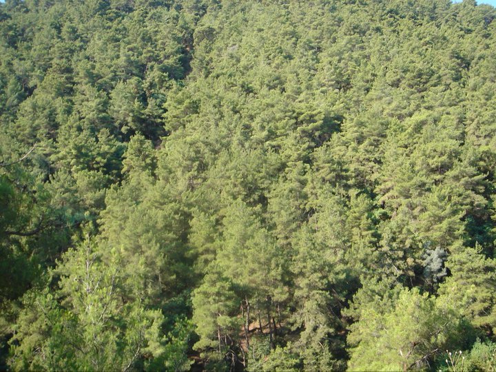 GGG - Gezenbilir Gece Gezmesi 0102.jpg