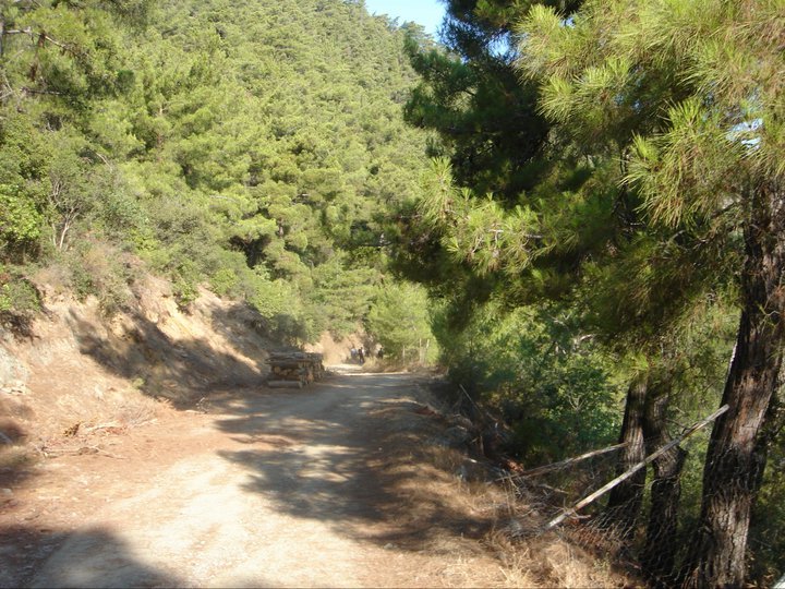 GGG - Gezenbilir Gece Gezmesi 0103.jpg