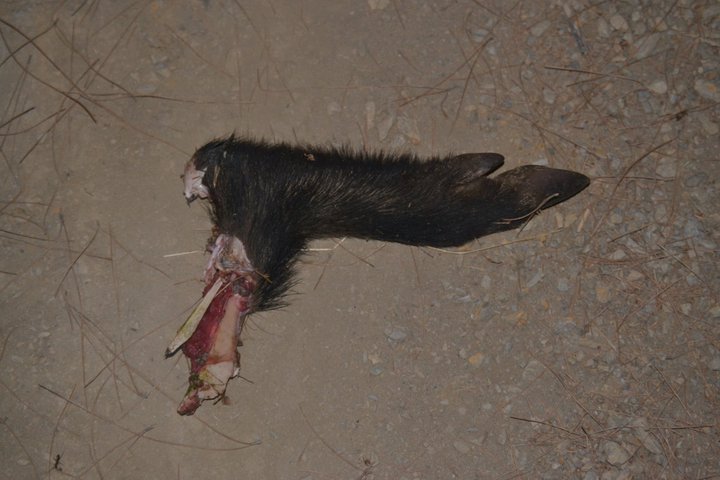 GGG - Gezenbilir Gece Gezmesi 014.jpg