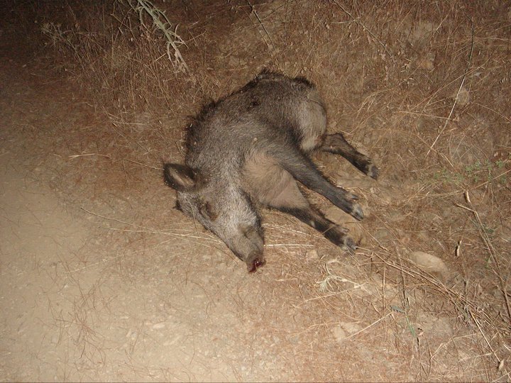 GGG - Gezenbilir Gece Gezmesi 039.jpg