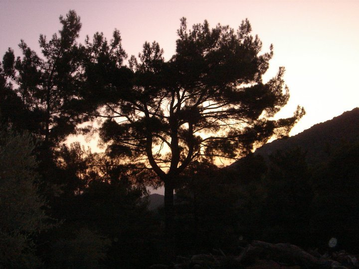 GGG - Gezenbilir Gece Gezmesi 052.jpg