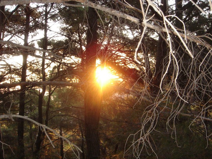 GGG - Gezenbilir Gece Gezmesi 068.jpg