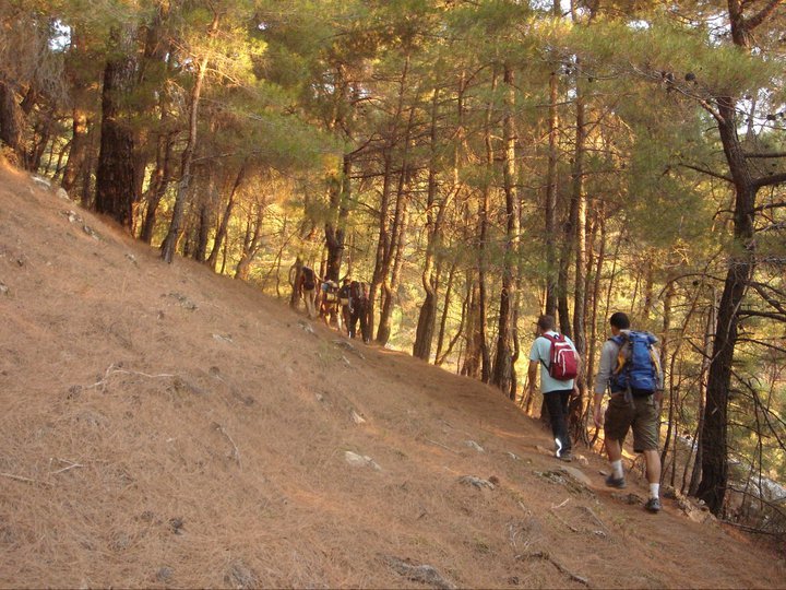 GGG - Gezenbilir Gece Gezmesi 075.jpg