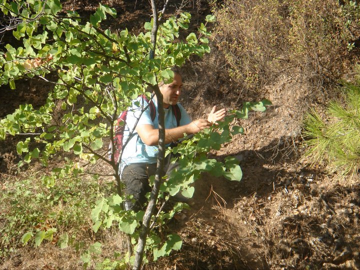 GGG - Gezenbilir Gece Gezmesi 088.jpg