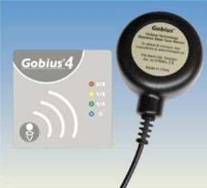 gobius4.jpg