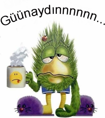 Good Morning.jpg