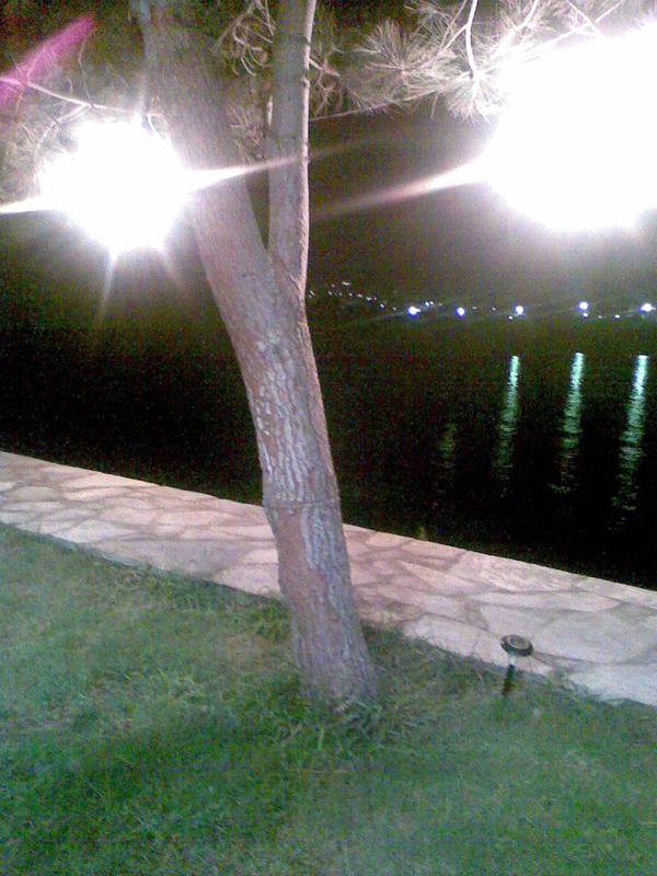 Grnt047.jpg