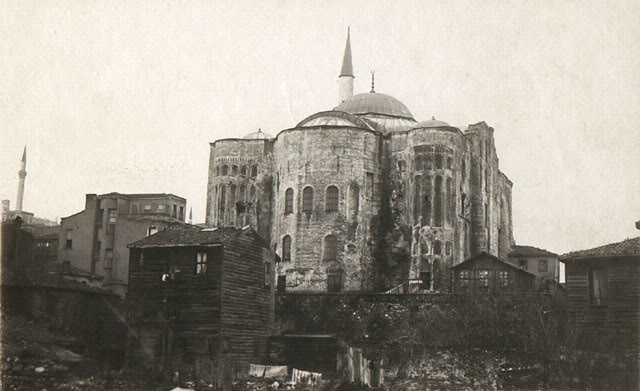 gul1.jpg