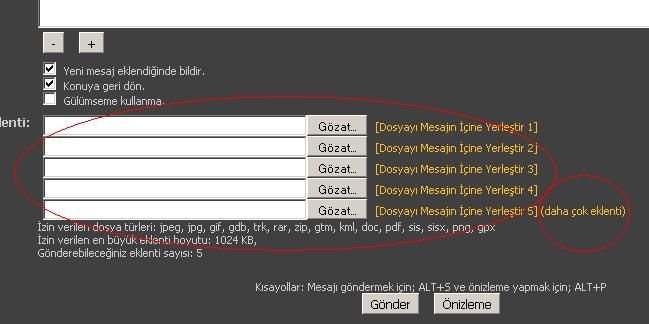 gznblr.jpg