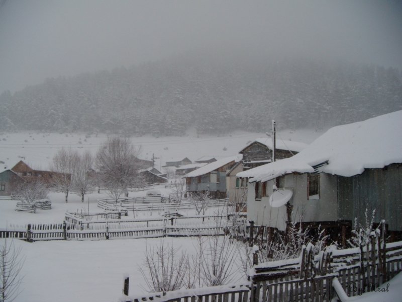 HACCAÃƒÂƒÃ‚Â„ÃƒÂ‚Ã‚ÂžIZ 005.jpg