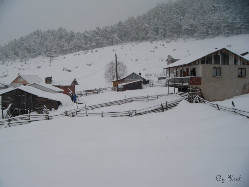 HACCAÃƒÂƒÃ‚Â„ÃƒÂ‚Ã‚ÂžIZ 010.jpg