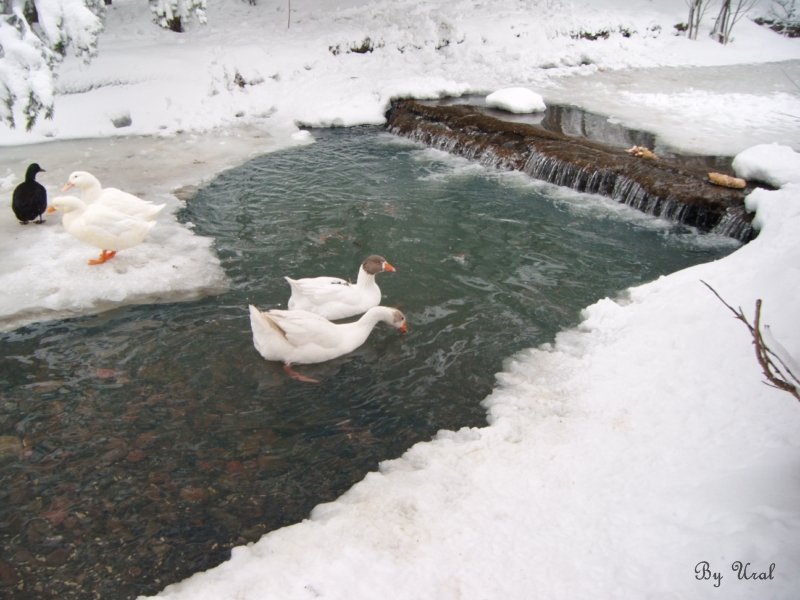 HACCAÃƒÂƒÃ‚Â„ÃƒÂ‚Ã‚ÂžIZ 027.jpg