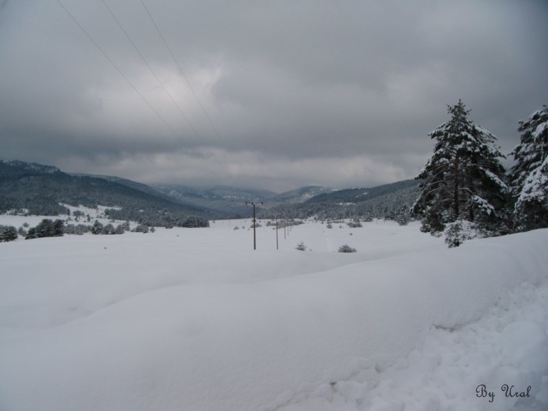 HACCAÃƒÂƒÃ‚Â„ÃƒÂ‚Ã‚ÂžIZ 029.jpg