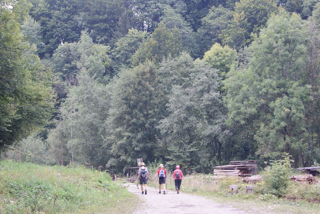 Halblech F40.jpg