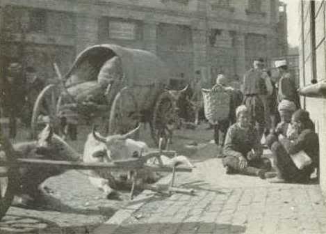 halk06.jpg