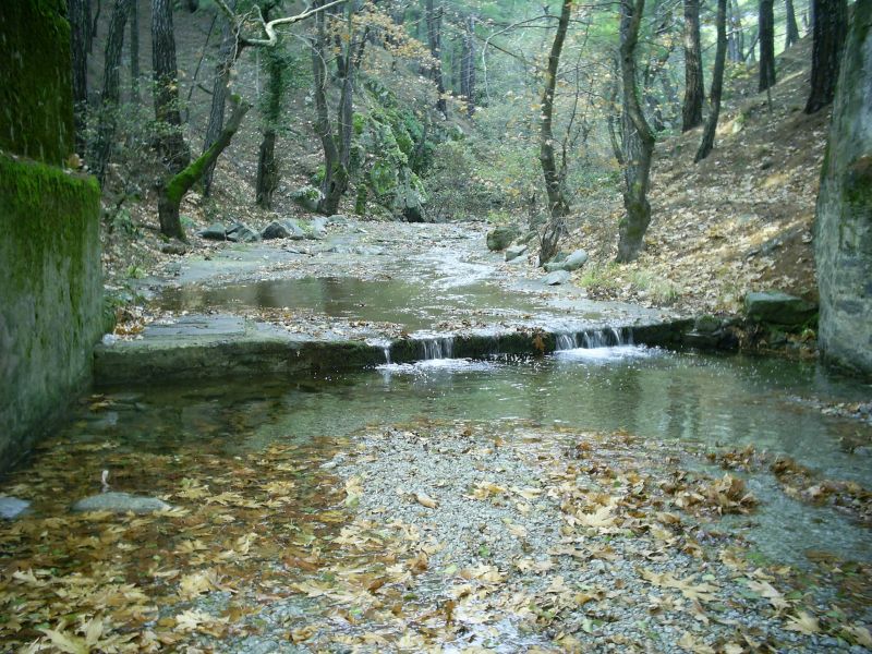HANLAR 200919.jpg