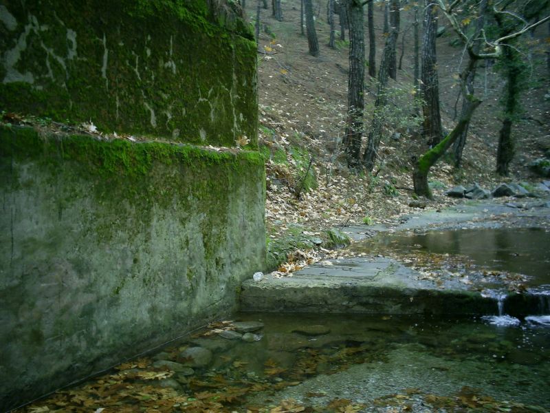 HANLAR 200920.jpg