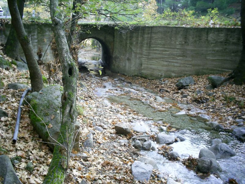 HANLAR 200929.jpg