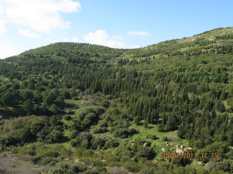 Harmandali - ÃƒÂƒÃ‚ÂƒÃƒÂ‚Ã‚Â–rnekkÃƒÂƒÃ‚ÂƒÃƒÂ‚Ã‚Â¶y (30.01.2011) 045.jpg