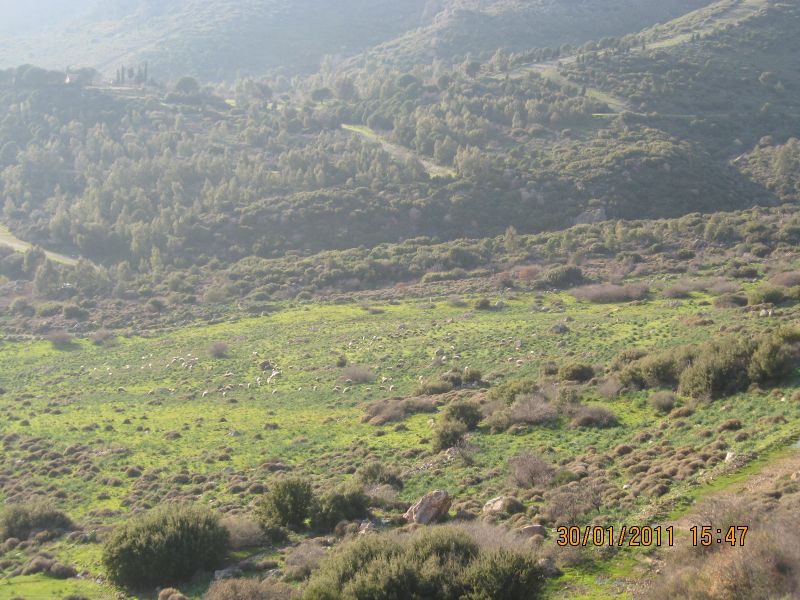 Harmandali - ÃƒÂƒÃ‚ÂƒÃƒÂ‚Ã‚Â–rnekkÃƒÂƒÃ‚ÂƒÃƒÂ‚Ã‚Â¶y (30.01.2011) 066.jpg