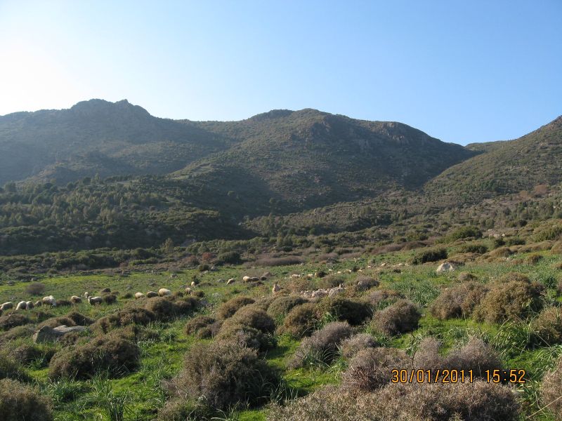 Harmandali - ÃƒÂƒÃ‚ÂƒÃƒÂ‚Ã‚Â–rnekkÃƒÂƒÃ‚ÂƒÃƒÂ‚Ã‚Â¶y (30.01.2011) 067.jpg