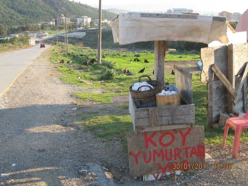 Harmandali - ÃƒÂƒÃ‚ÂƒÃƒÂ‚Ã‚Â–rnekkÃƒÂƒÃ‚ÂƒÃƒÂ‚Ã‚Â¶y (30.01.2011) 069.jpg