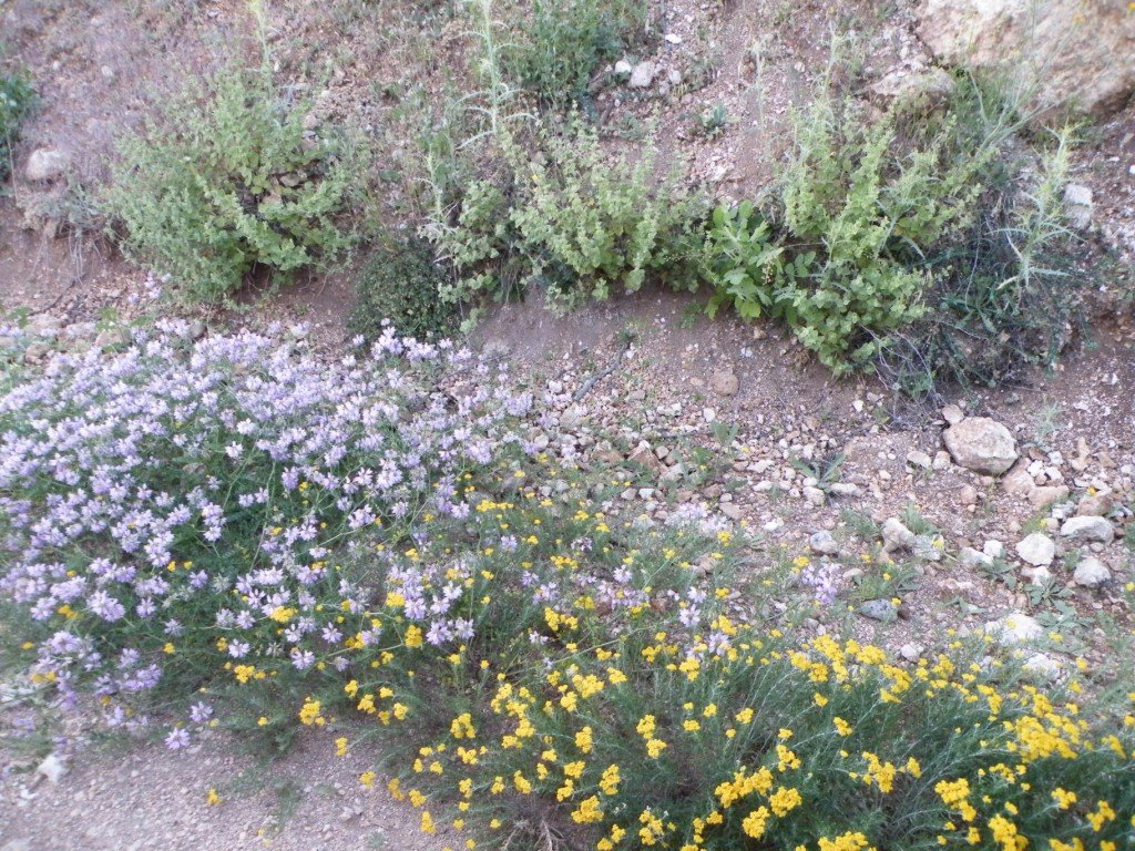 hatay off road 083.jpg