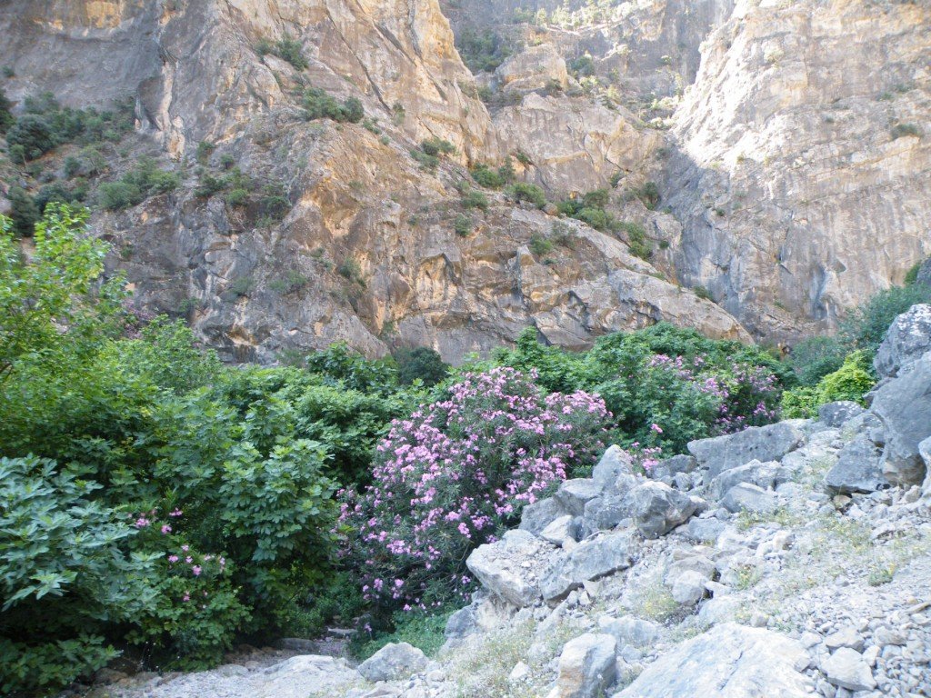 hatay off road 129.jpg