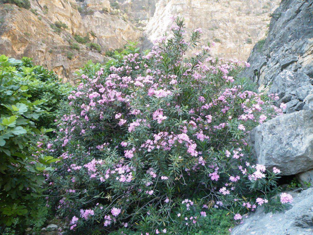 hatay off road 132.jpg