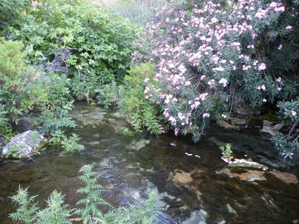 hatay off road 133.jpg