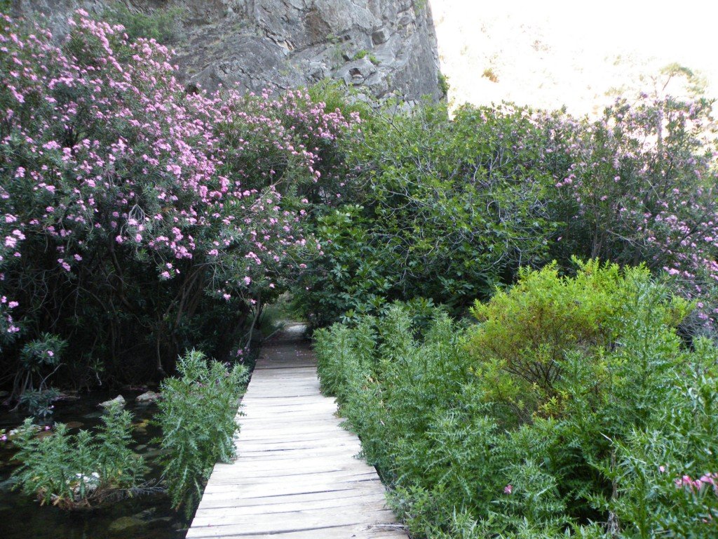 hatay off road 135.jpg