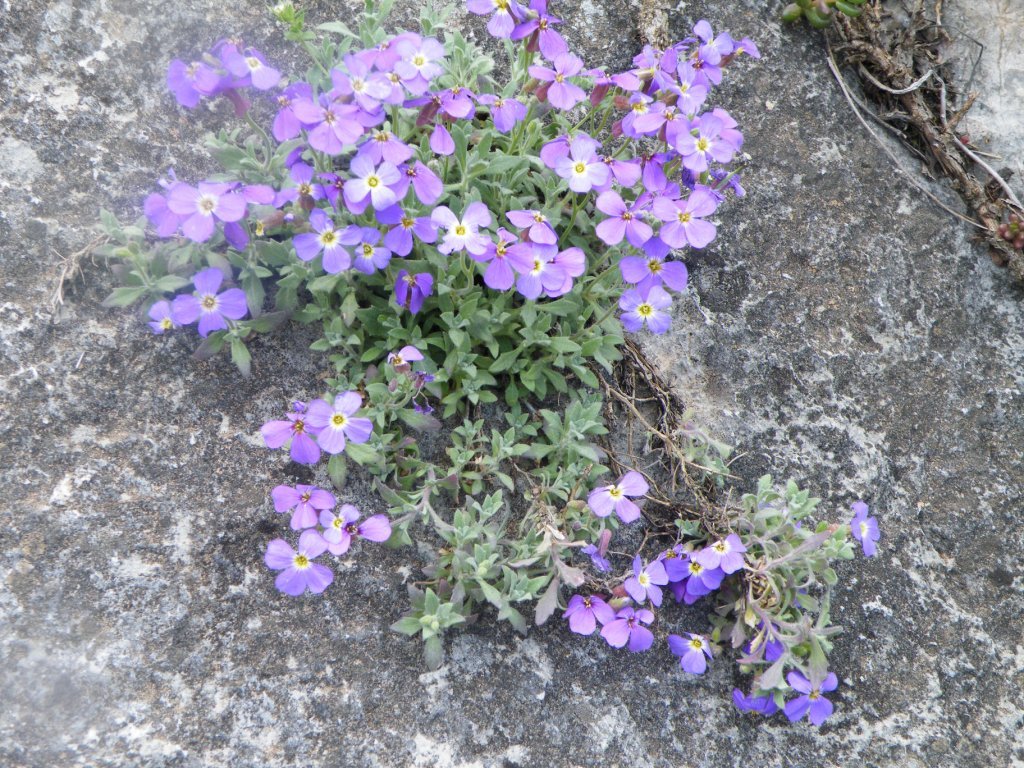 hatay off road 232.jpg