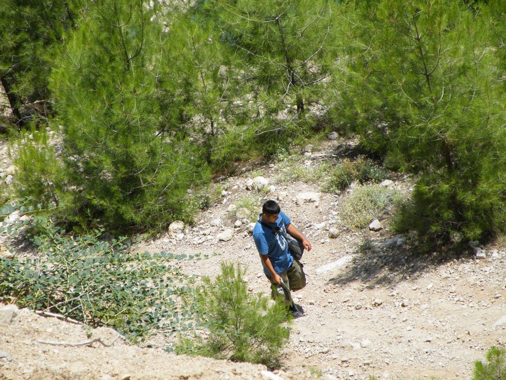 hatay off road 242.jpg