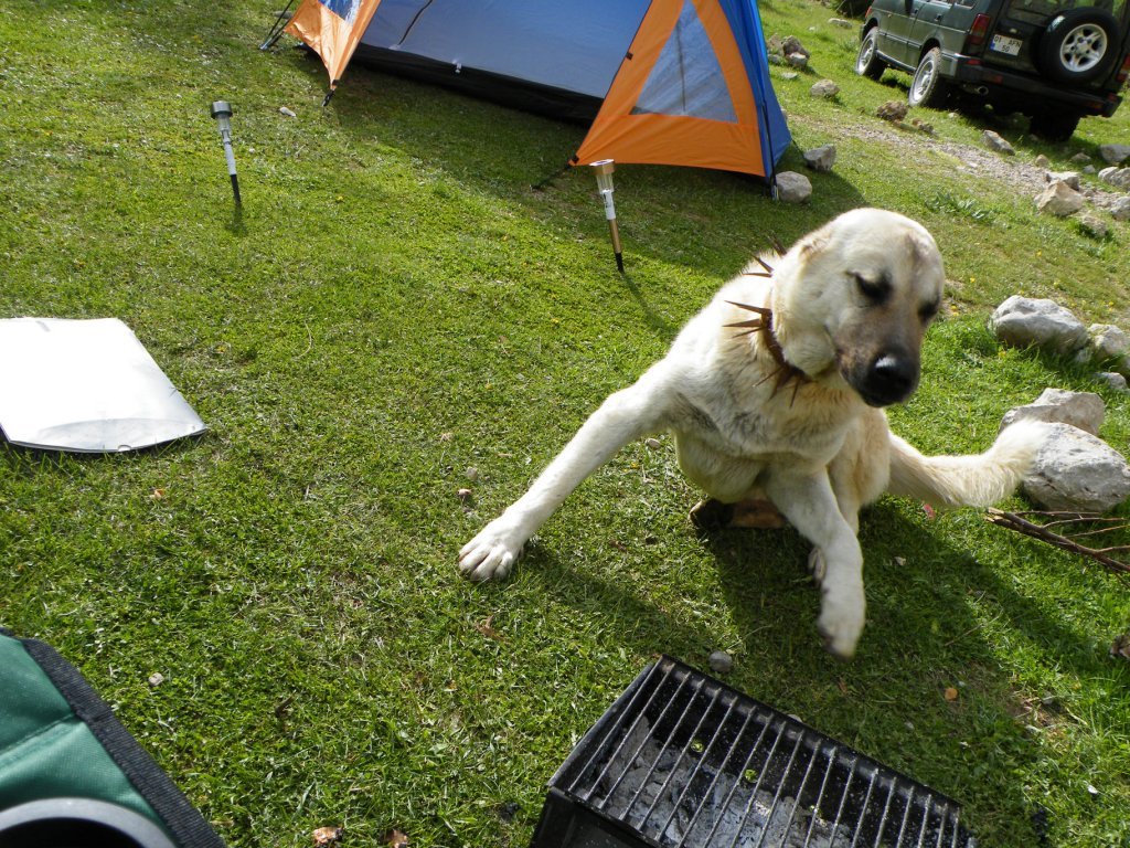 hatay off road 267.jpg