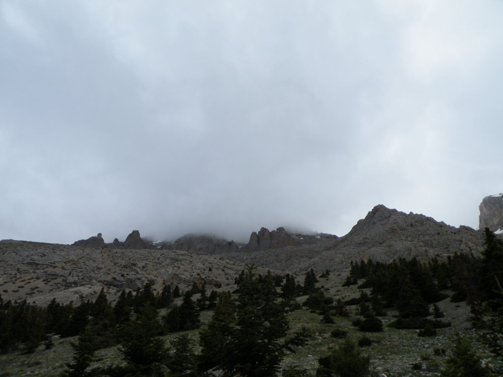 hatay off road 313.jpg