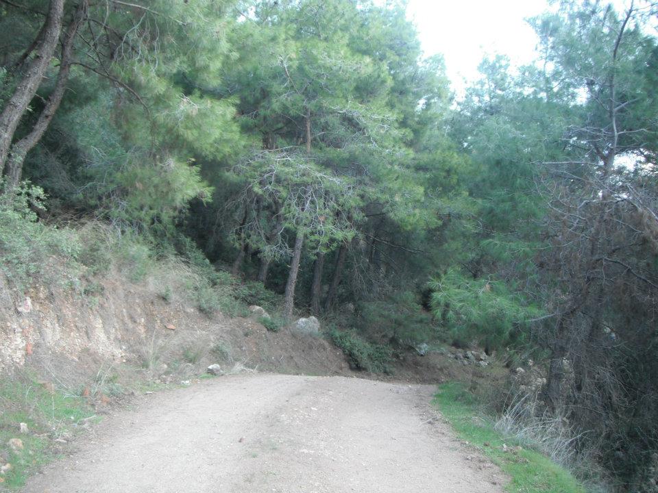 Hatice HocanÃƒÂƒÃ‚Â„ÃƒÂ‚Ã‚Â±n Objektifinden 003.jpg