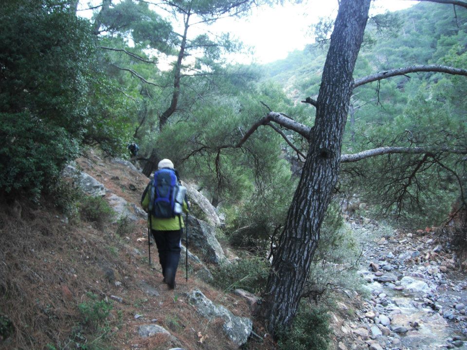 Hatice HocanÃƒÂƒÃ‚Â„ÃƒÂ‚Ã‚Â±n Objektifinden 010.jpg