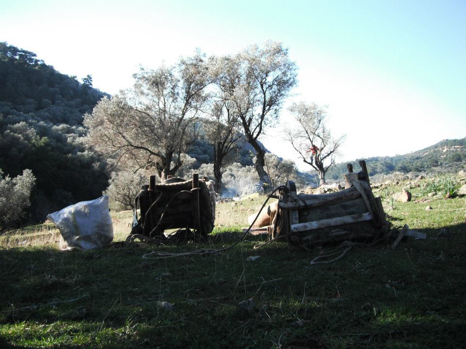 Hatice HocanÃƒÂƒÃ‚Â„ÃƒÂ‚Ã‚Â±n Objektifinden 017.jpg