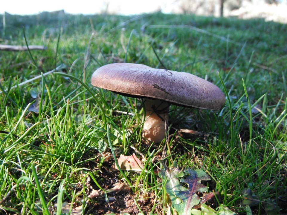 Hatice HocanÃƒÂƒÃ‚Â„ÃƒÂ‚Ã‚Â±n Objektifinden 018.jpg