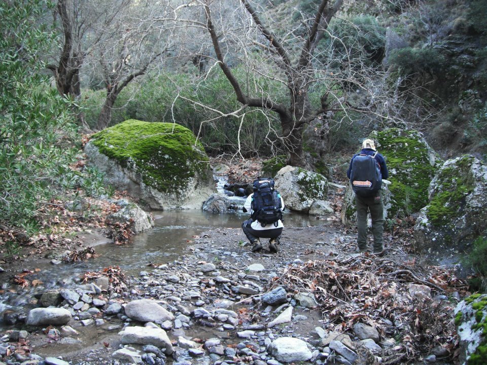 Hatice HocanÃƒÂƒÃ‚Â„ÃƒÂ‚Ã‚Â±n Objektifinden 020.jpg