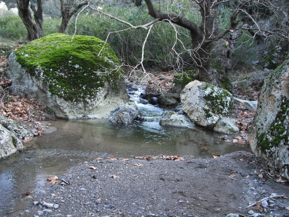 Hatice HocanÃƒÂƒÃ‚Â„ÃƒÂ‚Ã‚Â±n Objektifinden 022.jpg