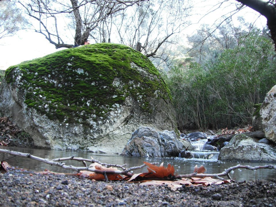 Hatice HocanÃƒÂƒÃ‚Â„ÃƒÂ‚Ã‚Â±n Objektifinden 023.jpg