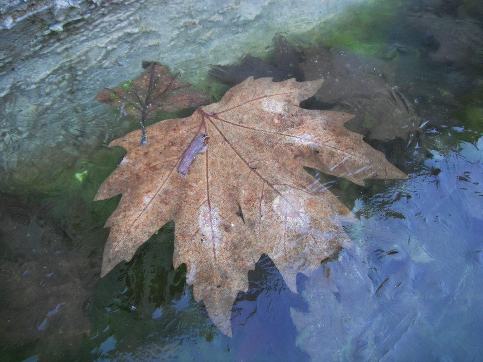 Hatice HocanÃƒÂƒÃ‚Â„ÃƒÂ‚Ã‚Â±n Objektifinden 024.jpg