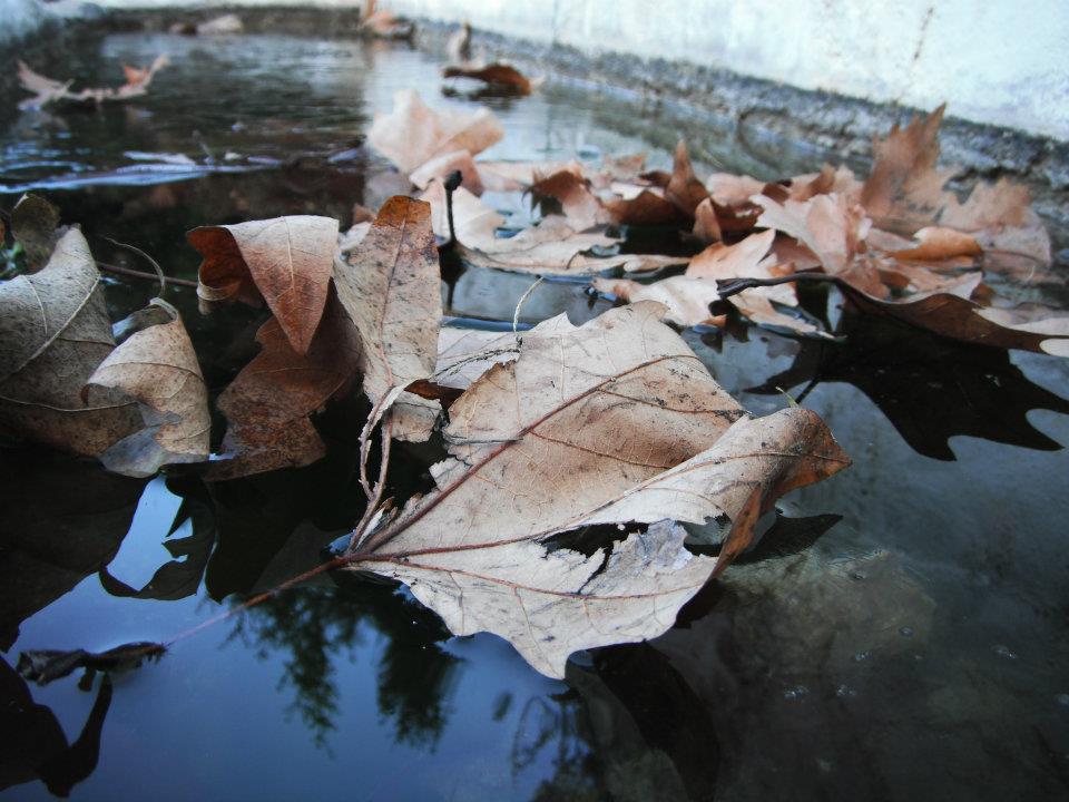 Hatice HocanÃƒÂƒÃ‚Â„ÃƒÂ‚Ã‚Â±n Objektifinden 025.jpg