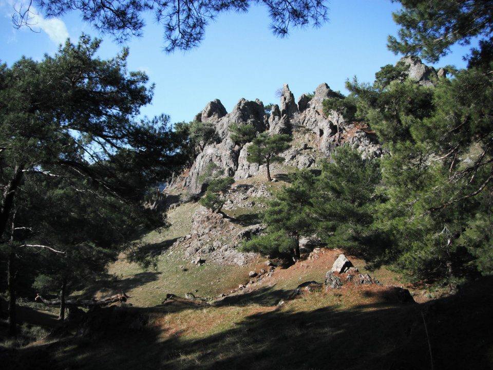 Hatice HocanÃƒÂƒÃ‚Â„ÃƒÂ‚Ã‚Â±n Objektifinden 028.jpg