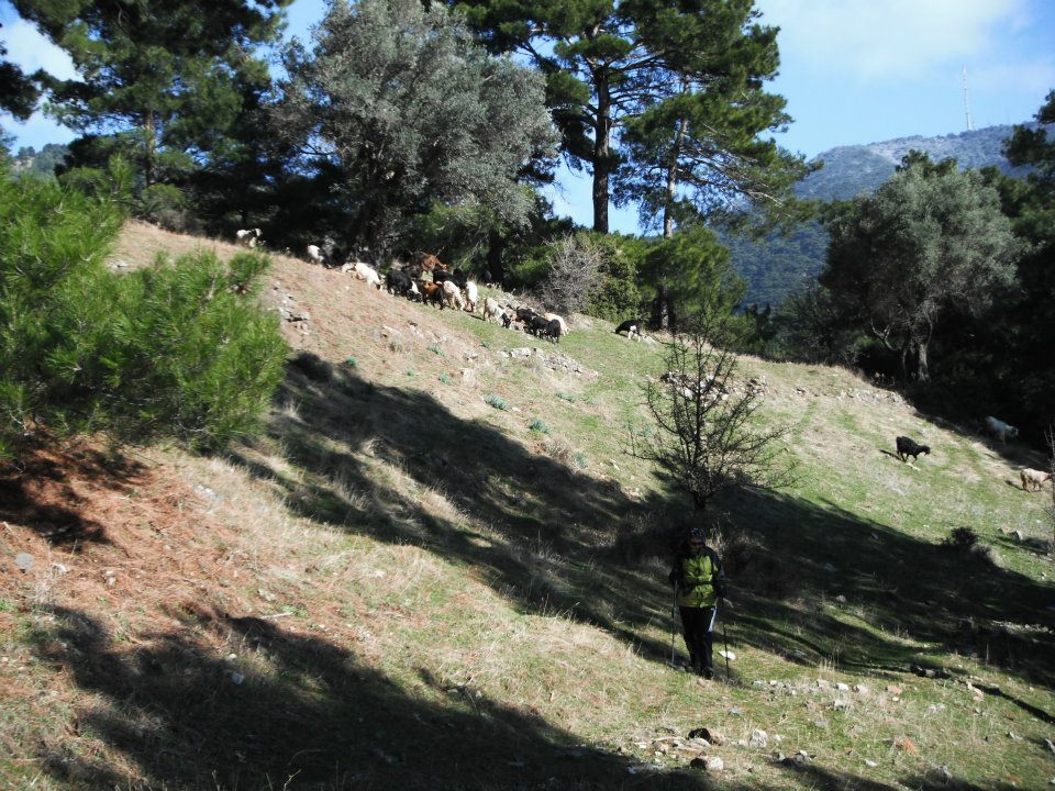 Hatice HocanÃƒÂƒÃ‚Â„ÃƒÂ‚Ã‚Â±n Objektifinden 034.jpg